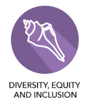 diversity equity and inclusion